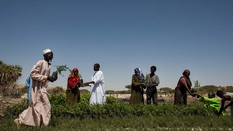 Le gouvernement tchadien et ses partenaires valident la nouvelle revue des dépenses publiques agricoles et alimentaires 1