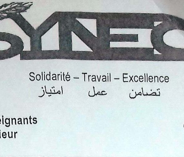 Le SYNECS  section de N’Djamena en grève