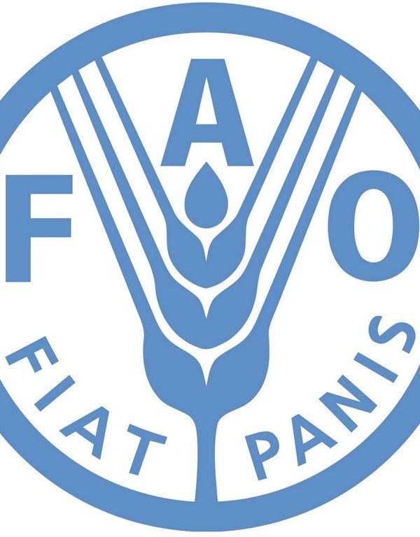 Le bureau sous-régional de la FAO tiendra sa 14 eme réunion du 28 février au 02 mars 2022