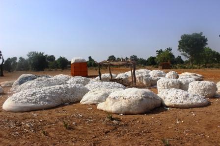 Le personnel de la Coton-Tchad SN en grève pour trois jours 1