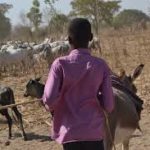 Deux tchadiens tués et trois autres blessés dans le Sahara nigérien 3