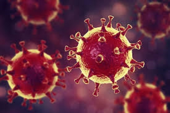 Coronavirus : plus de 2000 cas en Espagne 1