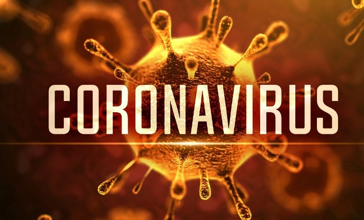 Coronavirus: les députés appellent le gouvernement à renforcer les mesures de prévention 1