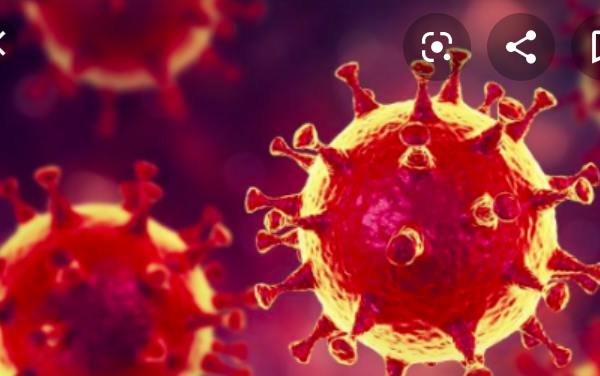 Coronavirus: le Tchad enregistre un premier cas