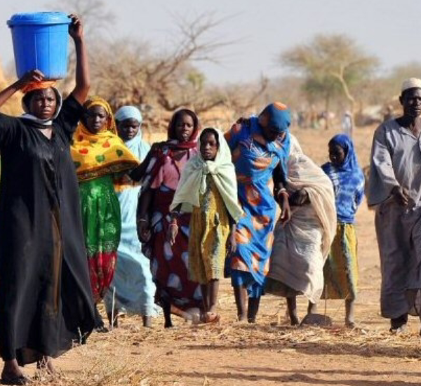 La Fao va appuyer 20000 ménages en milieu agricole