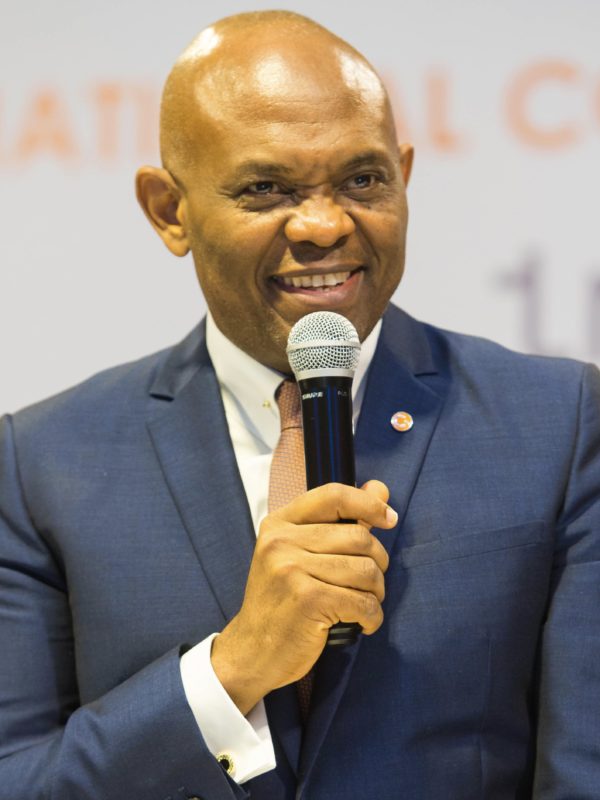 Tony Elumelu dit que la Covid-19 représente une opportunité de réinitialiser l’Afrique