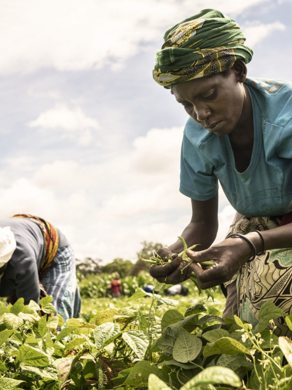 Une alimentation saine ne doit pas être un luxe pour les Africains