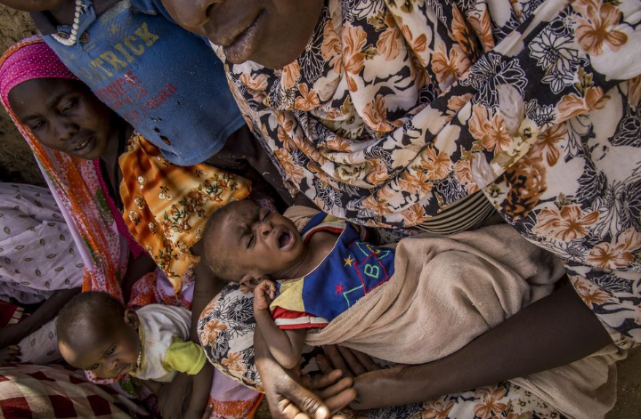 5,9 millions de personnes n’ont pas accès à une alimentation saine, 4,4 millions d’autres souffrent de malnutrition cette année au Tchad 1