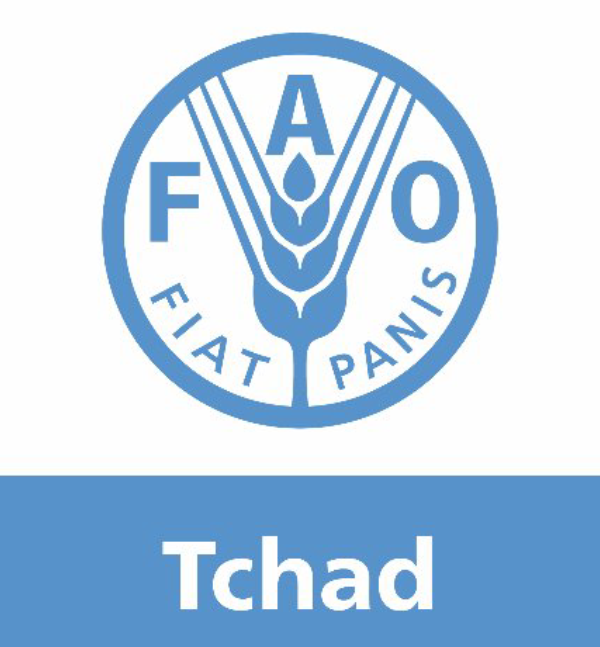 La Fao a remis 2106,285 tonnes de semences pluviales, 100 000 outils aratoires et 16 tonnes de semences maraîchères à l’Etat tchadien