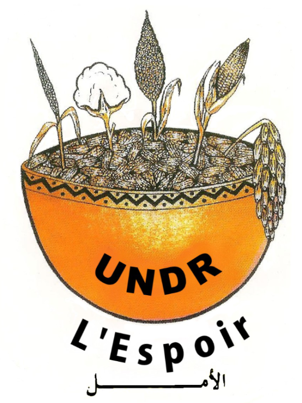 « La crise sanitaire est devenue un prétexte pour le parti au pouvoir » : Undr