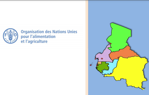 Ouverture ce mardi de la 13e réunion de l’Equipe Multidisciplinaire du Bureau Sous-régional de la Fao 1