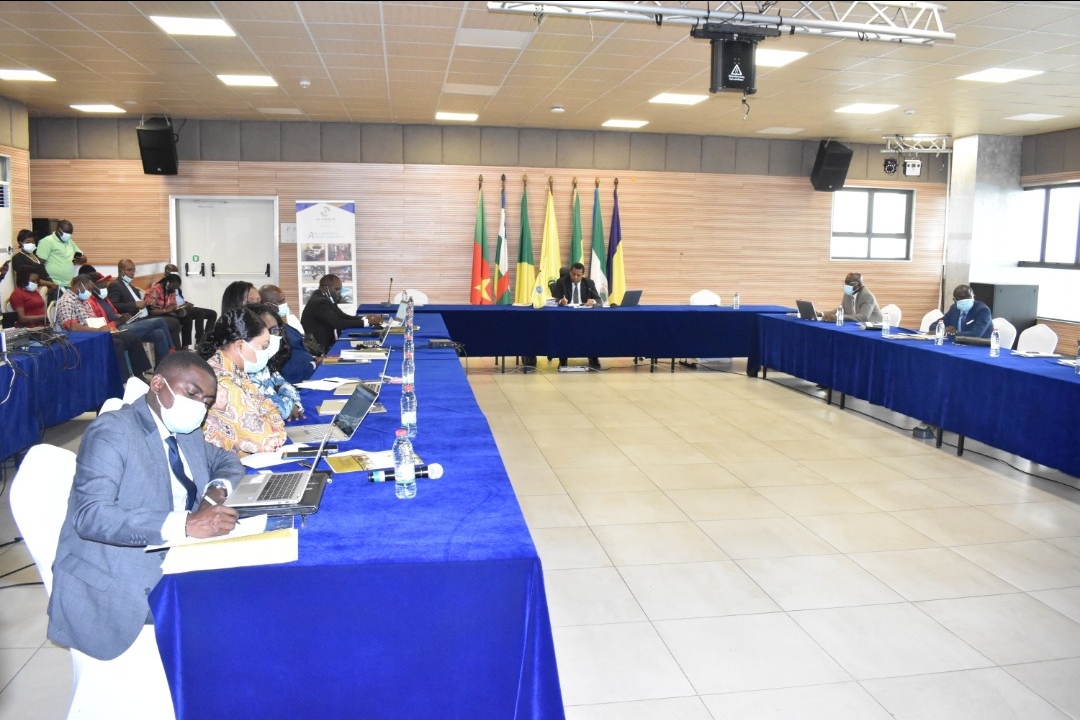 Cémac: le Conseil des ministres de l'Ueac a tenu sa 37ème session ordinaire 1