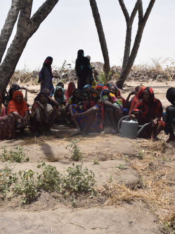 Le quotidien des femmes d’Intchi-kilia, dans le Kanem