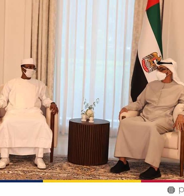 Le Pcmt s’entretient avec le président des Émirats Arabes-Unis
