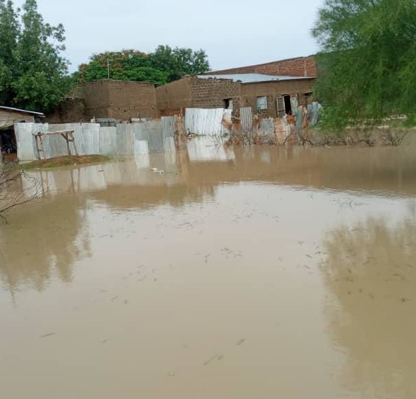 N’Djamena à l’épreuve des grosses pluies