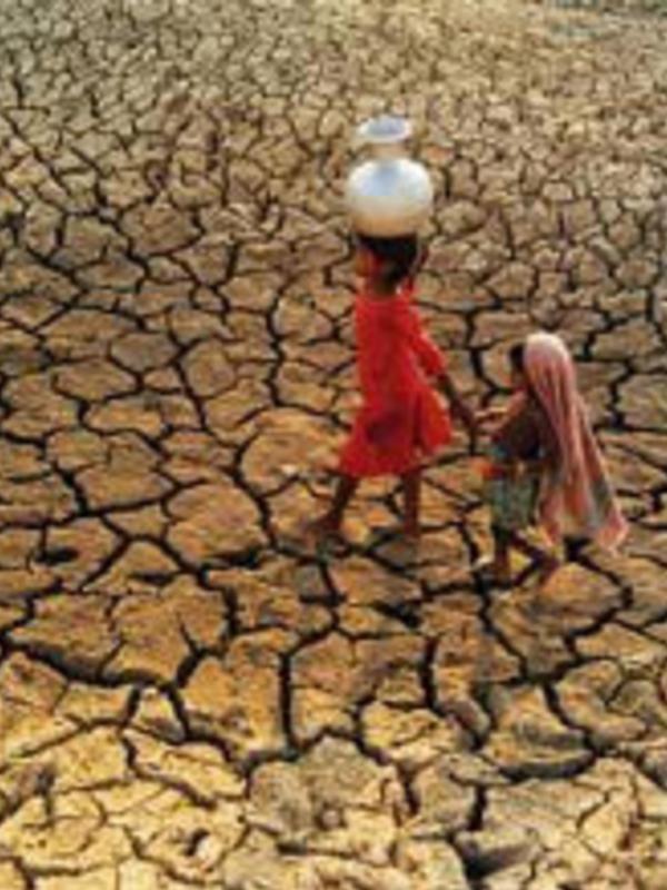 Les enfants victimes de l’extrême sécheresse dans certaines régions d’Afrique sont « au bord de la catastrophe », alerte l’Unicef