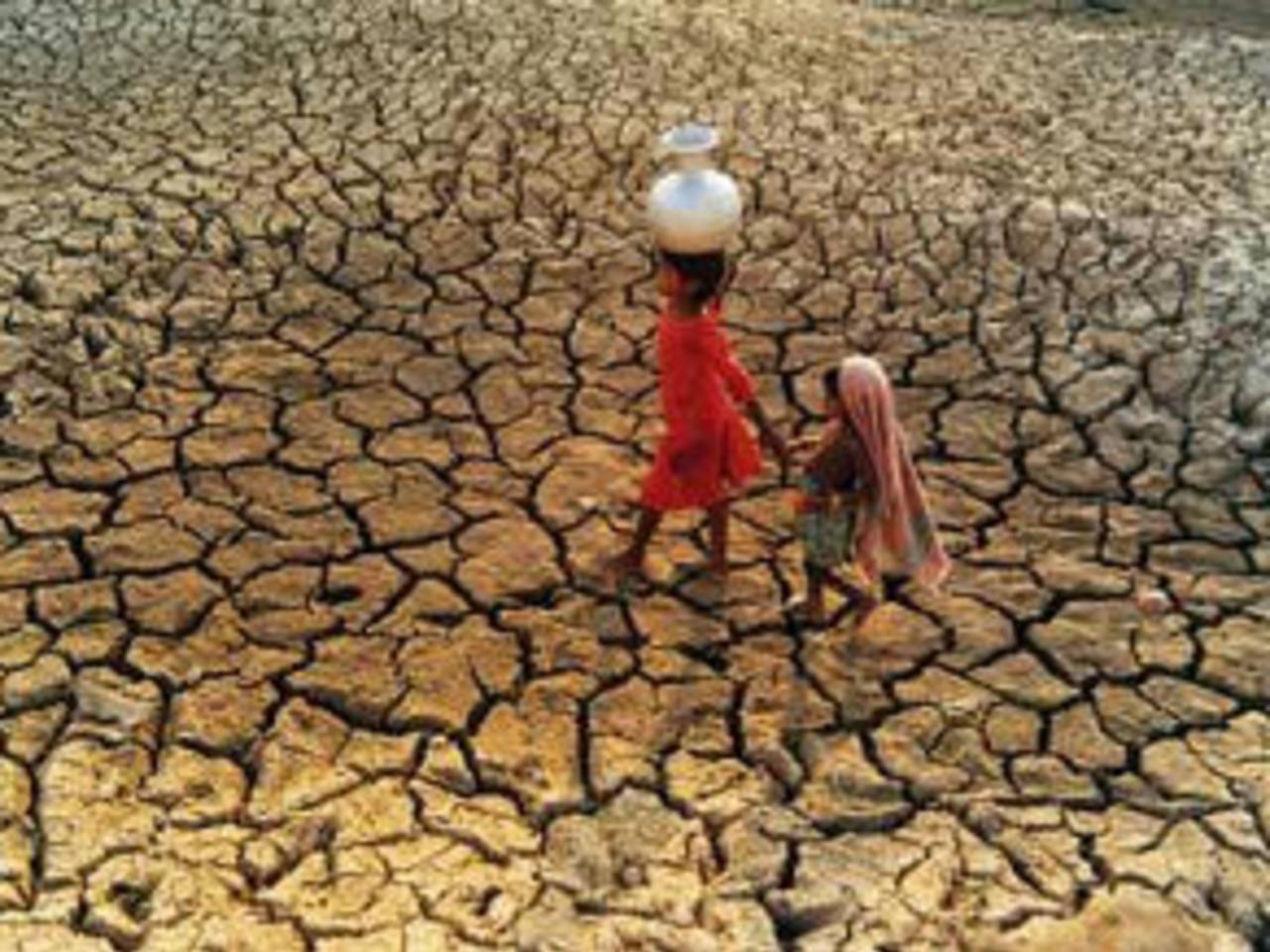 Les enfants victimes de l’extrême sécheresse dans certaines régions d’Afrique sont « au bord de la catastrophe », alerte l’Unicef 1