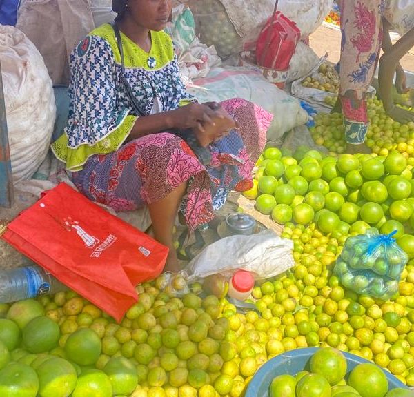 Les citrons abondent dans les marchés