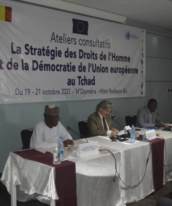 Les acteurs de droits de l’homme révisent la stratégie droits et démocratie de l’Ue au Tchad