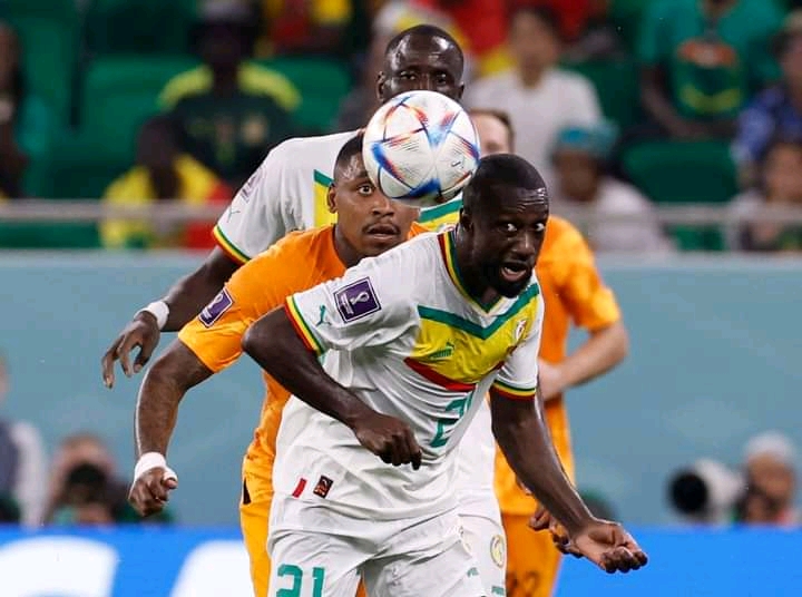 Coupe du monde : le Sénégal s'incline face aux Pays-Bas 1