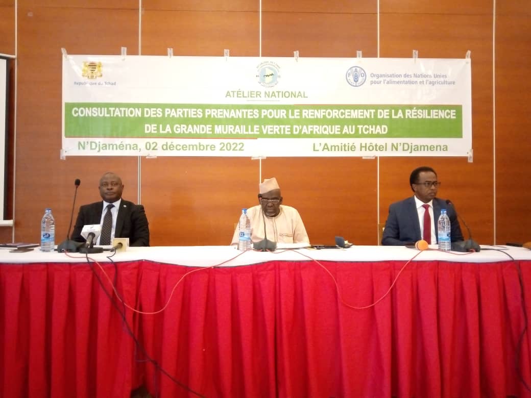 Les parties prenantes pour le renforcement de la résilience de la grande muraille verte d’Afrique au Tchad se consultent 1