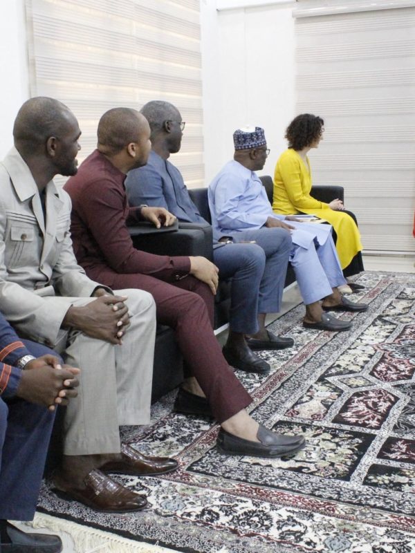 Une  délégation composée des fondations  Bill & Mélinda Gates et Dangote  reçu en audience par le premier ministre