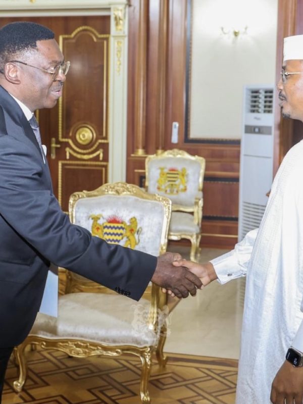Ferdinand Ngoh Ngoh reçu par le président de transition