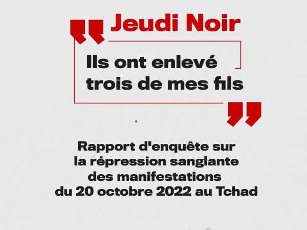« Les forces armées ont ouvert le feu, arrêté et enlevé des manifestants supposés être des adhérents du parti Les Transformateurs », rapport de l’Omct et de la Ltdh