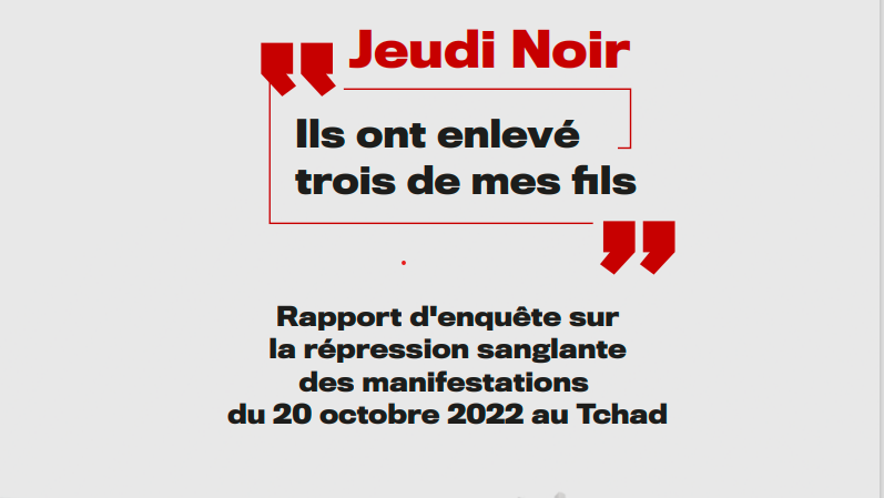 « Les forces armées ont ouvert le feu, arrêté et enlevé des manifestants supposés être des adhérents du parti Les Transformateurs », rapport de l'Omct et de la Ltdh 1