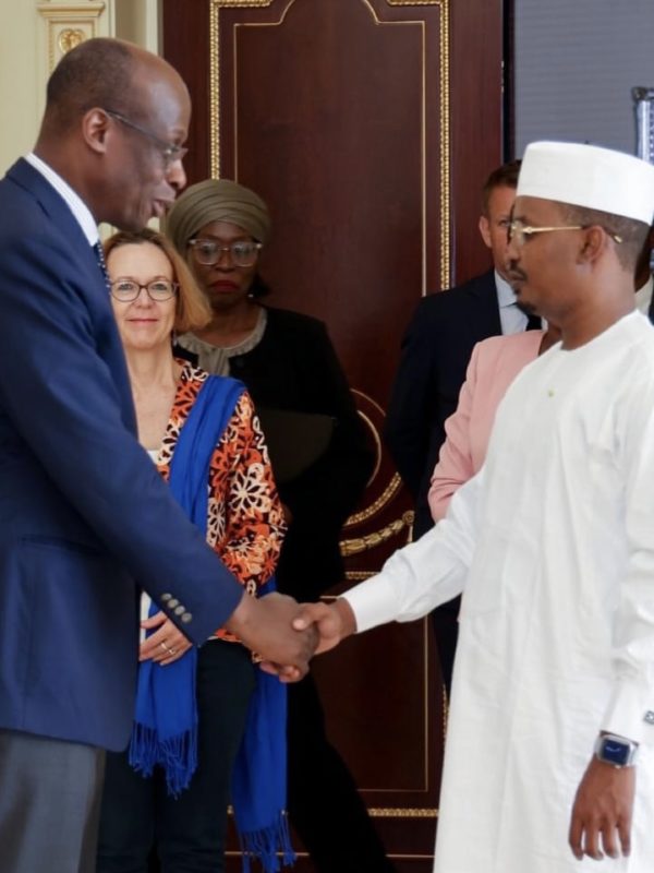 Raouf Mazou reçu en audience par le président de transition