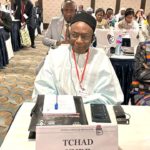 Le Syndicat des magistrats tchadiens fustige la composition du Conseil supérieur de la magistrature, contenue dans le projet de constitution. 2