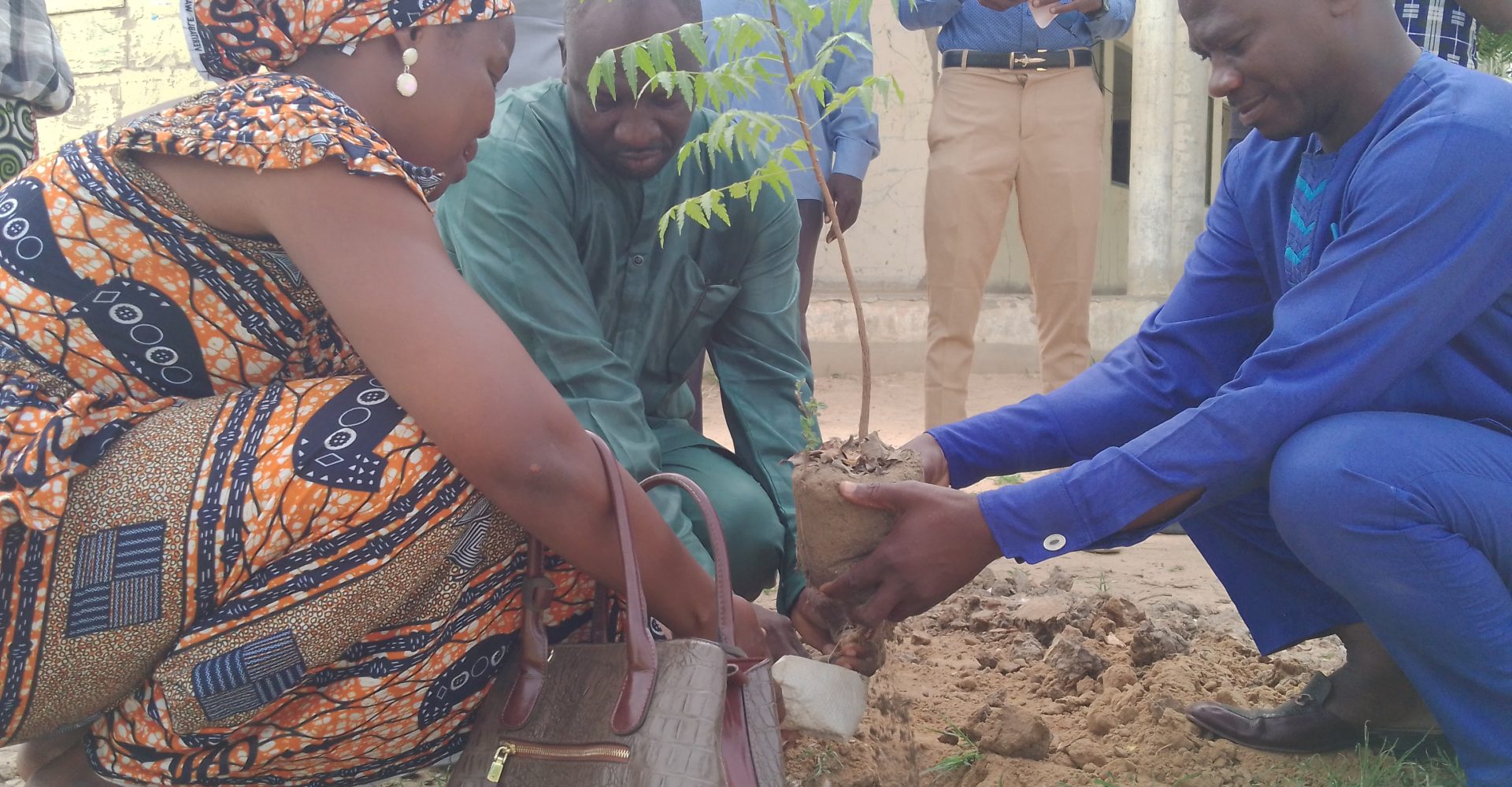 L’Association culturelle pour la promotion de la paix lance une campagne de reboisement dénommée “un jeune, un arbre” 1