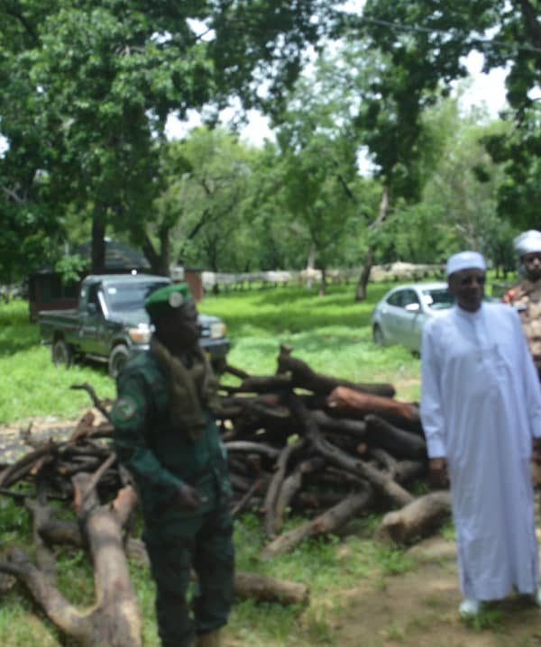 «Il n’y aura pas de pardon pour toute personne qui coupe les arbres ou détruit l’environnement », Mahamat Abdelkerim Hanno