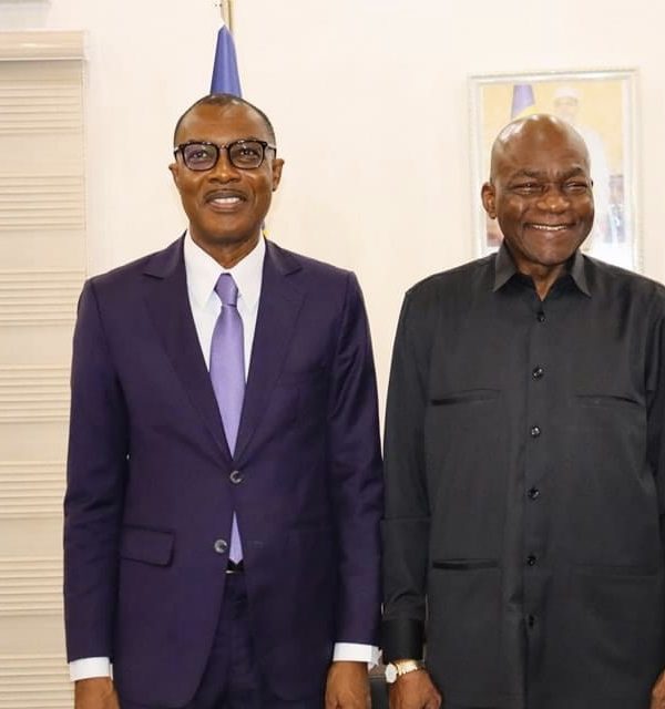 Tchad: La BAD s’engage à appuyer le gouvernement dans les secteurs de développement