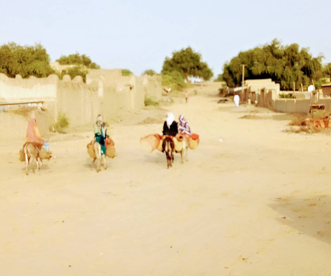 Malnutrition au Bahr el gazal : « Traiter les animaux pour que les enfants s’en portent mieux » 1