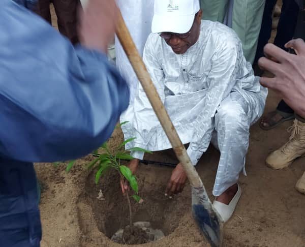 La Semaine nationale de l’arbre, édition 2023 est lancée