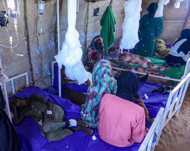 Prolifération des moustiques à N’Djamena, gare au paludisme 1