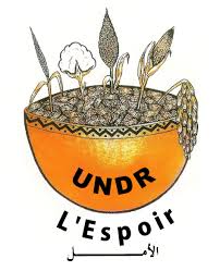 Présidentielle au Tchad : l’Undr apporte son soutien à Mahamat Idriss Déby 1
