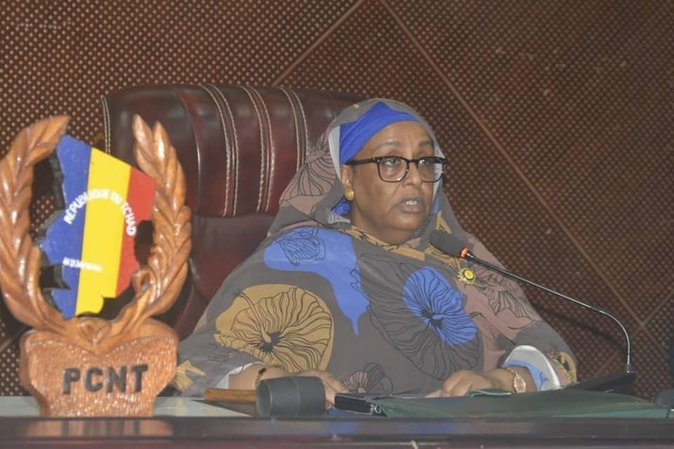 Tchad : les Conseillers nationaux examinent  la proposition de résolution spéciale portant soutien au président de transition pour le renforcement de l'autorité de l'Etat 1