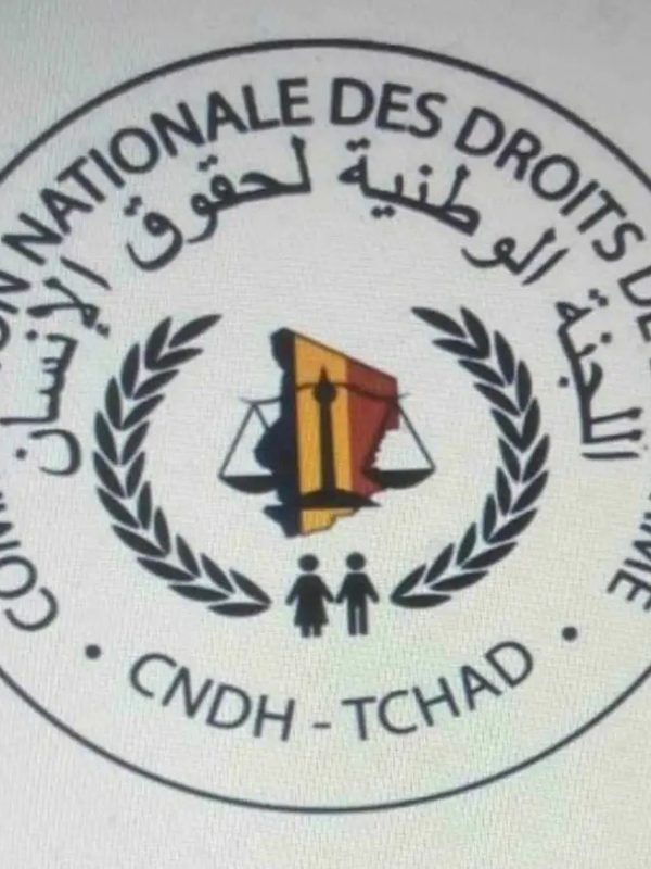 Tchad: la Cndh se réjouit du bon déroulement du processus électoral
