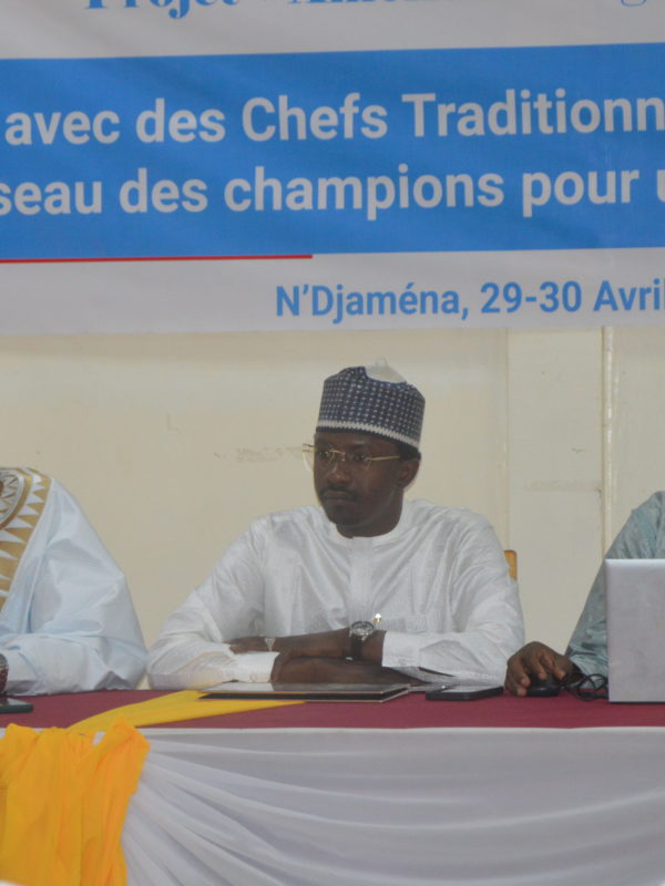 Amélioration de la gouvernance foncière locale au Tchad : la Fao échange avec les chefs traditionnels