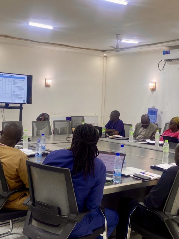 Projet « Citoyenneté active et Gouvernance ouverte au Tchad » : le Comité de pilotage a tenu sa 2ème  réunion