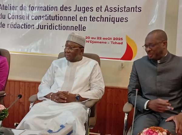 Le Pappe outille les membres du Conseil constitutionnel en techniques de rédaction juridictionnelle