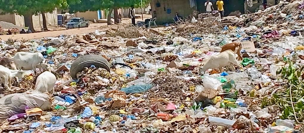 N'Djamena : l'insalubrité, une menace sanitaire constante 1
