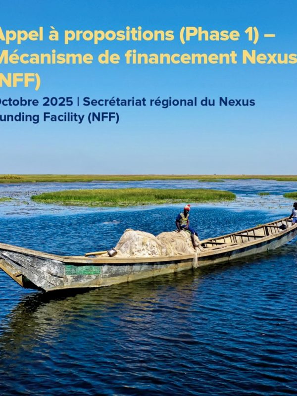 Bassin du lac Tchad : le NFF lance la phase 1 de son appel à projets intégrés et transfrontaliers