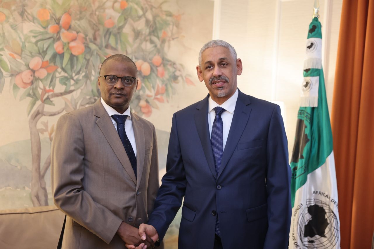 Partenariat renforcé : la BAD accompagnera le Tchad dans ses grands projets de développement 1