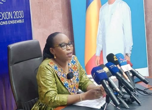 PND “Tchad Connexion 2030 ” : L’AAZES, pilier  stratégique du développement économique