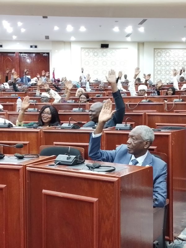Tchad : l’Assemblée nationale ratifie la loi d’amnistie de Zen Bada