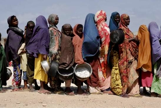 Famine: l'ONU alerte sur «16 zones critiques» où la situation s'aggrave 1