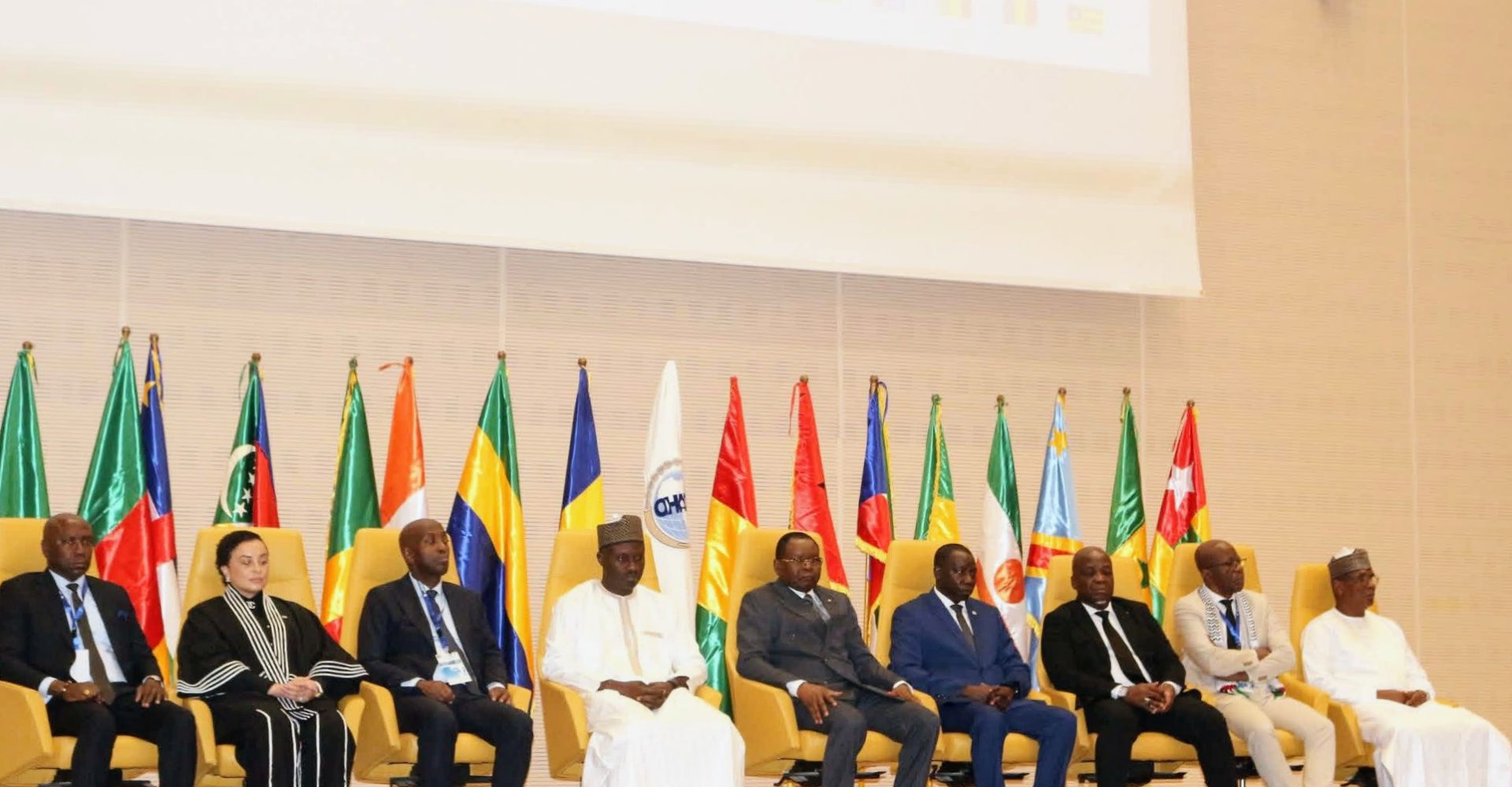 60e session du Conseil des ministres de l’OHADA : les travaux lancés à N’Djaména 1